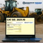 CAT SIS 2021